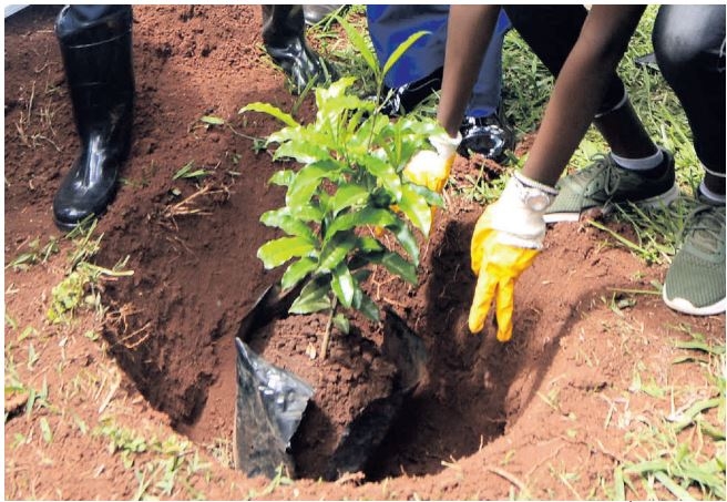 MWAMISI: Kenya’s youth must urgently tackle climate change