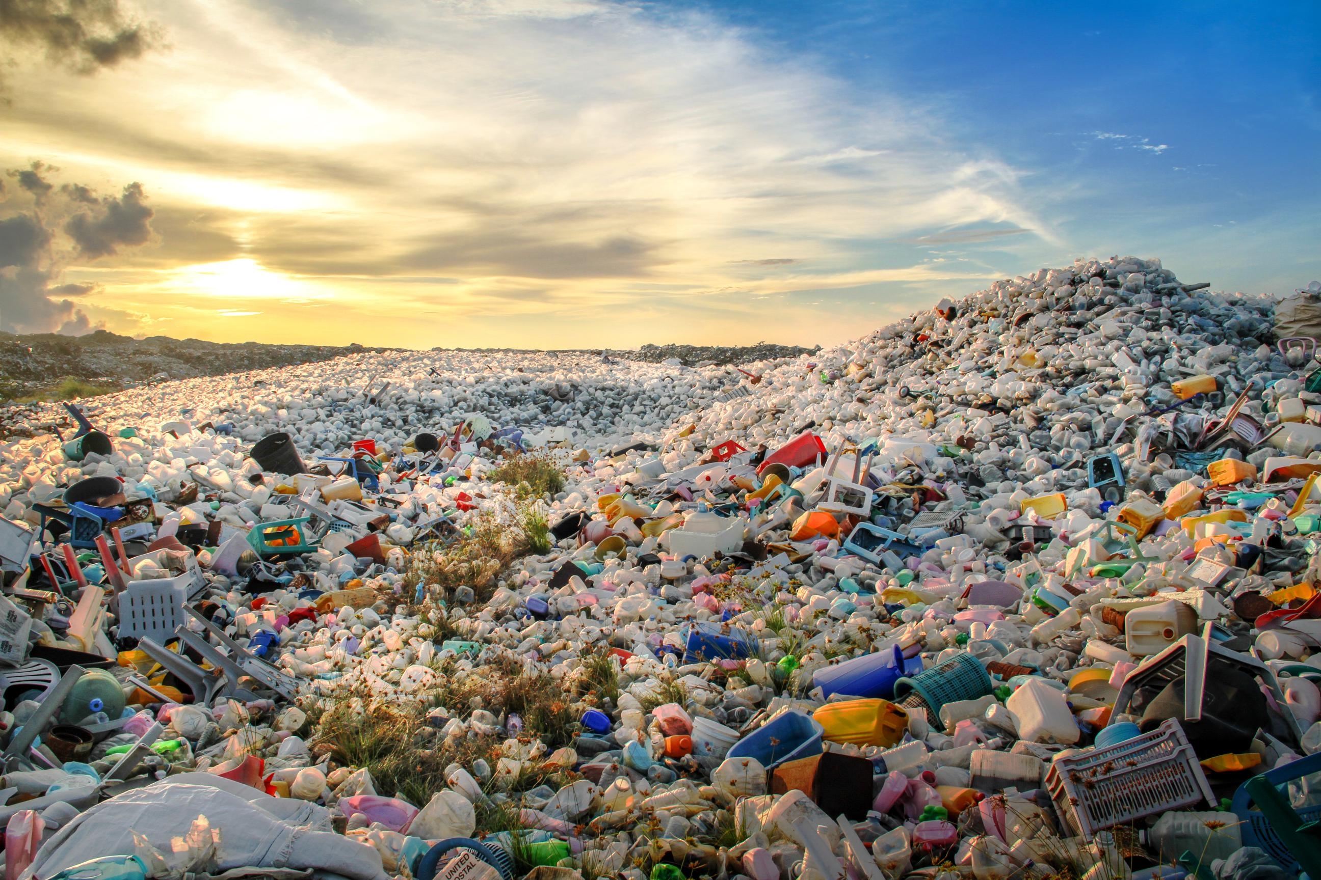 Plastics: The silent killer in your home