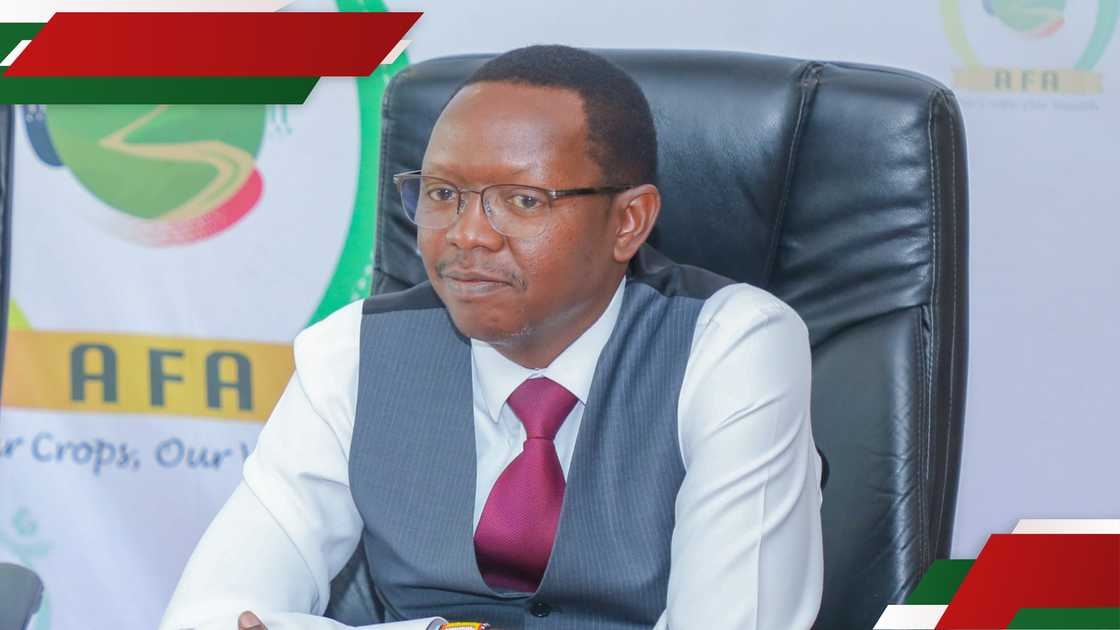 Why Importation of 500K tonnes of rice is necessary - AFA DG