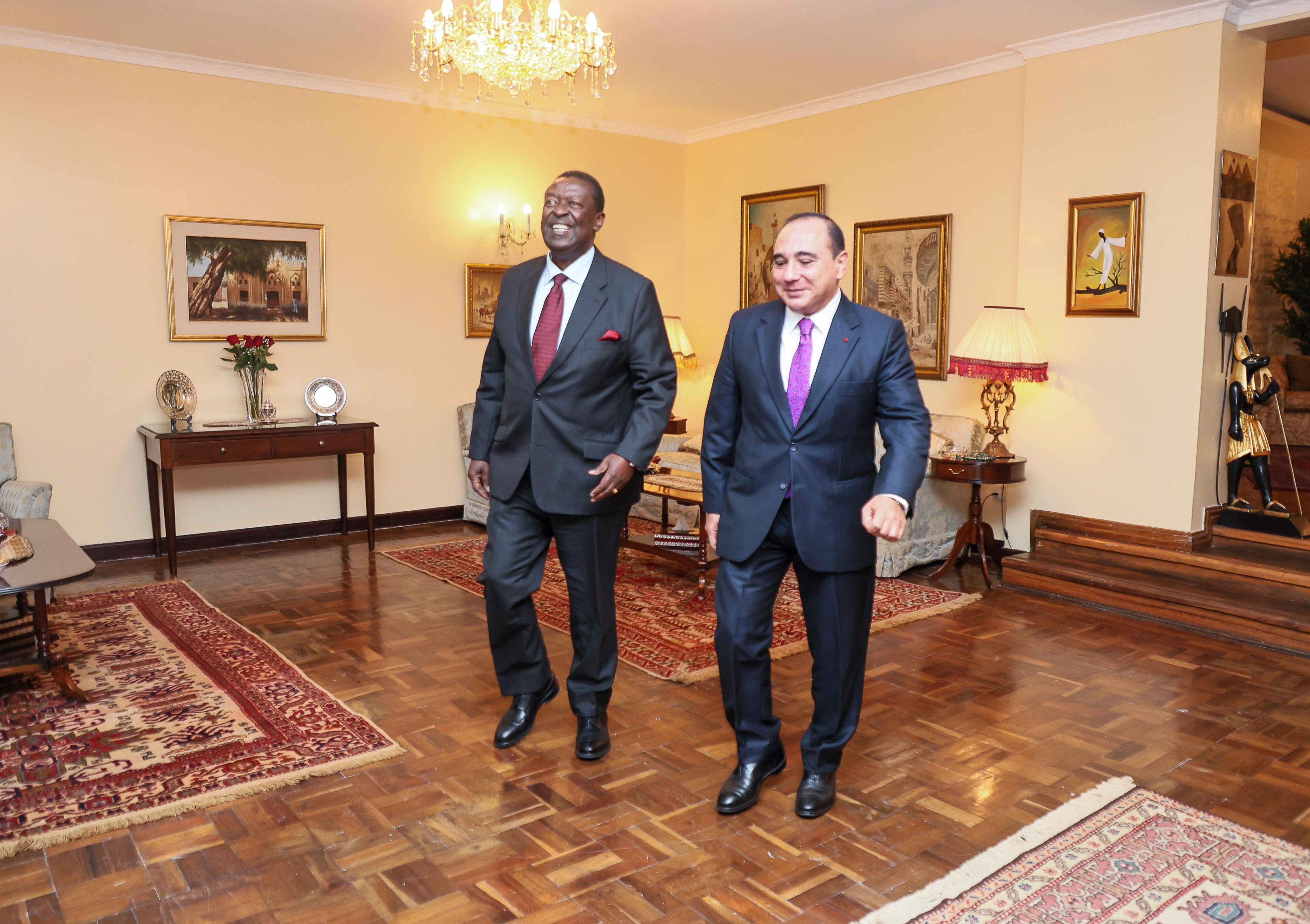 Kenya to strengthen ties with Egypt through trade, investment and tourism