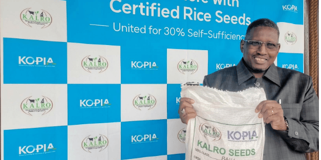 Rice is slowly replacing ugali on Kenyan plates