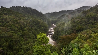 Kenya among nations seeking funds to tackle environmental crises