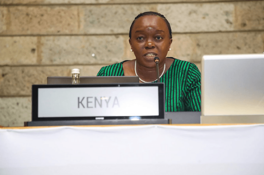 CS Barasa calls for responsible mining to protect ecosystems