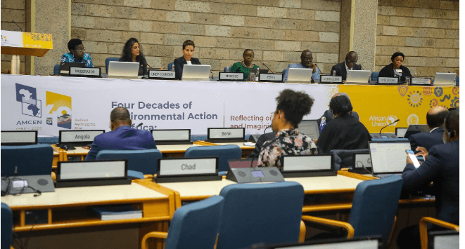 Africa’s environmental voice grows louder on global stage through Amcen