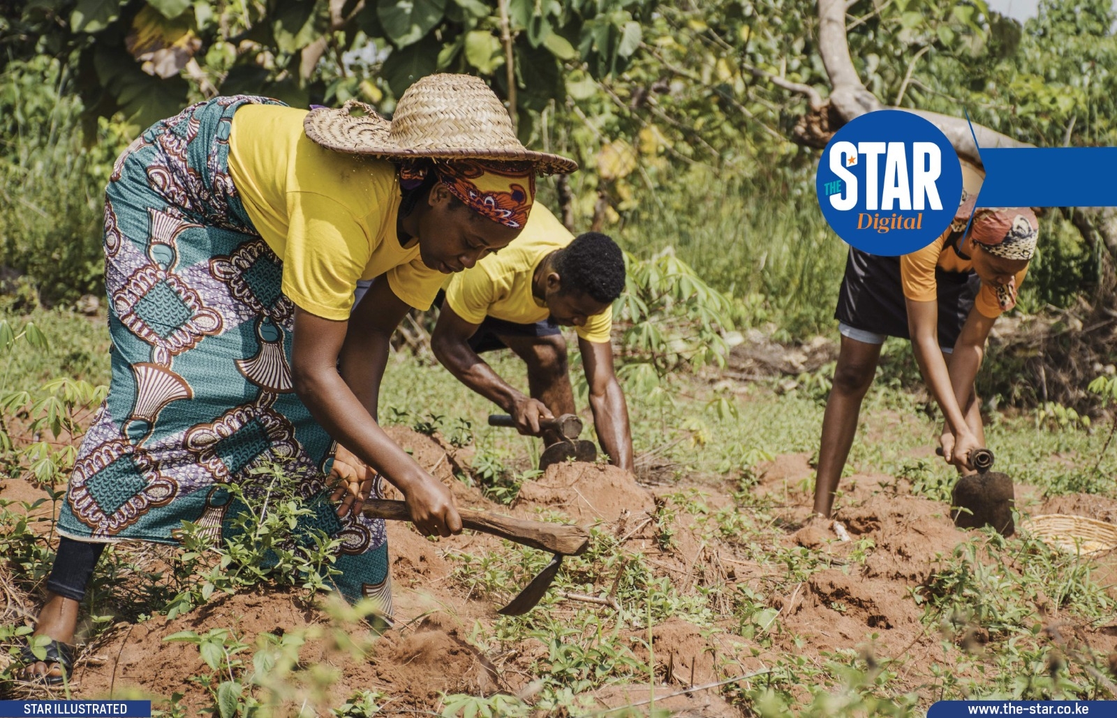 Farming under pressure: The human and economic cost