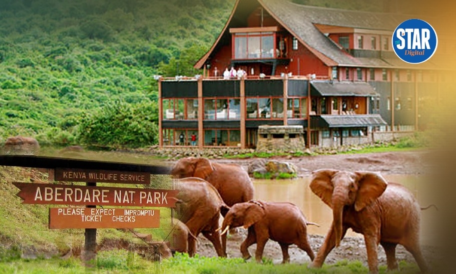 What you need to know about Aberdare National Park