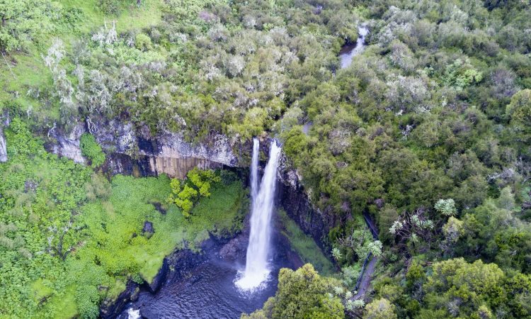 Waterfalls and landscape elevate Aberdares as hiking destination