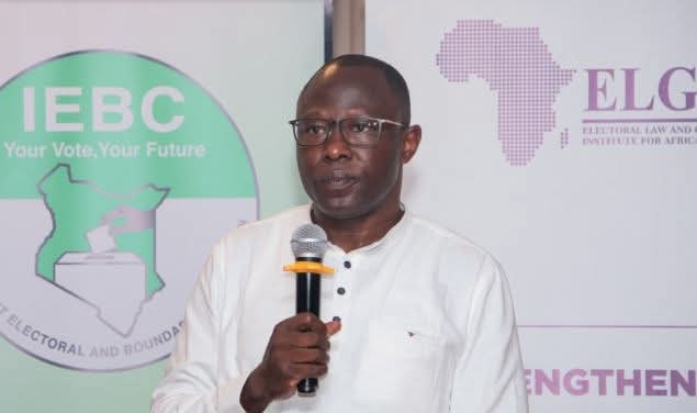 IEBC: We've received four petitions to recall sitting MPs
