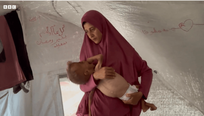 Almost a third of people in Gaza not eating for days, UN food programme warns