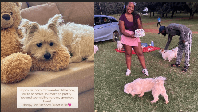 Gloria Kyallo reunites with ex-lover Ken to celebrates her dog's birthday