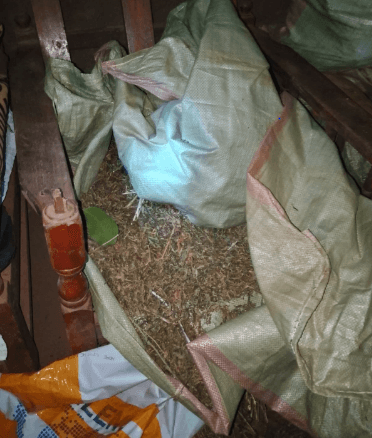 NACADA seizes Sh3 million cannabis in Kitale