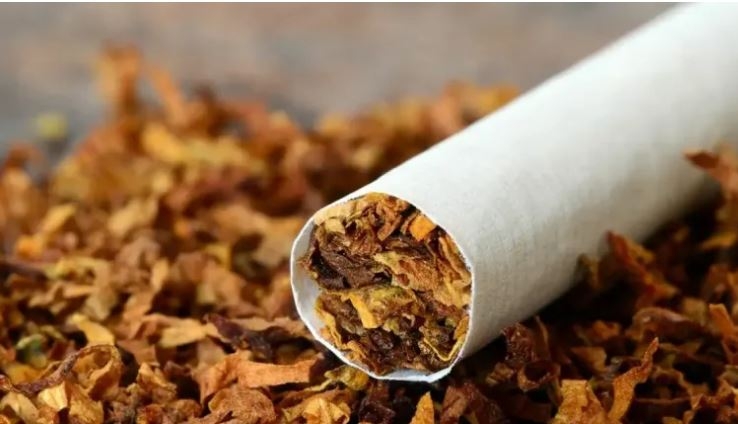 New Tobacco Bill is a death sentence, lobby warns