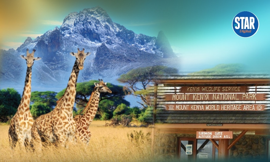 Know Kenya: Mt Kenya National Park