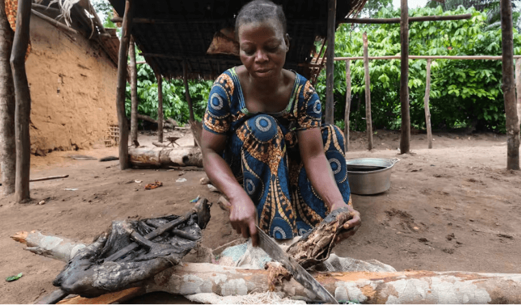 Eating wild meat carries serious health risks. Why does it still happen in Kenya