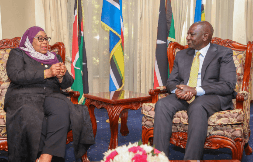EXPLAINER: What TZ’s foreign businesses ban means for Kenya