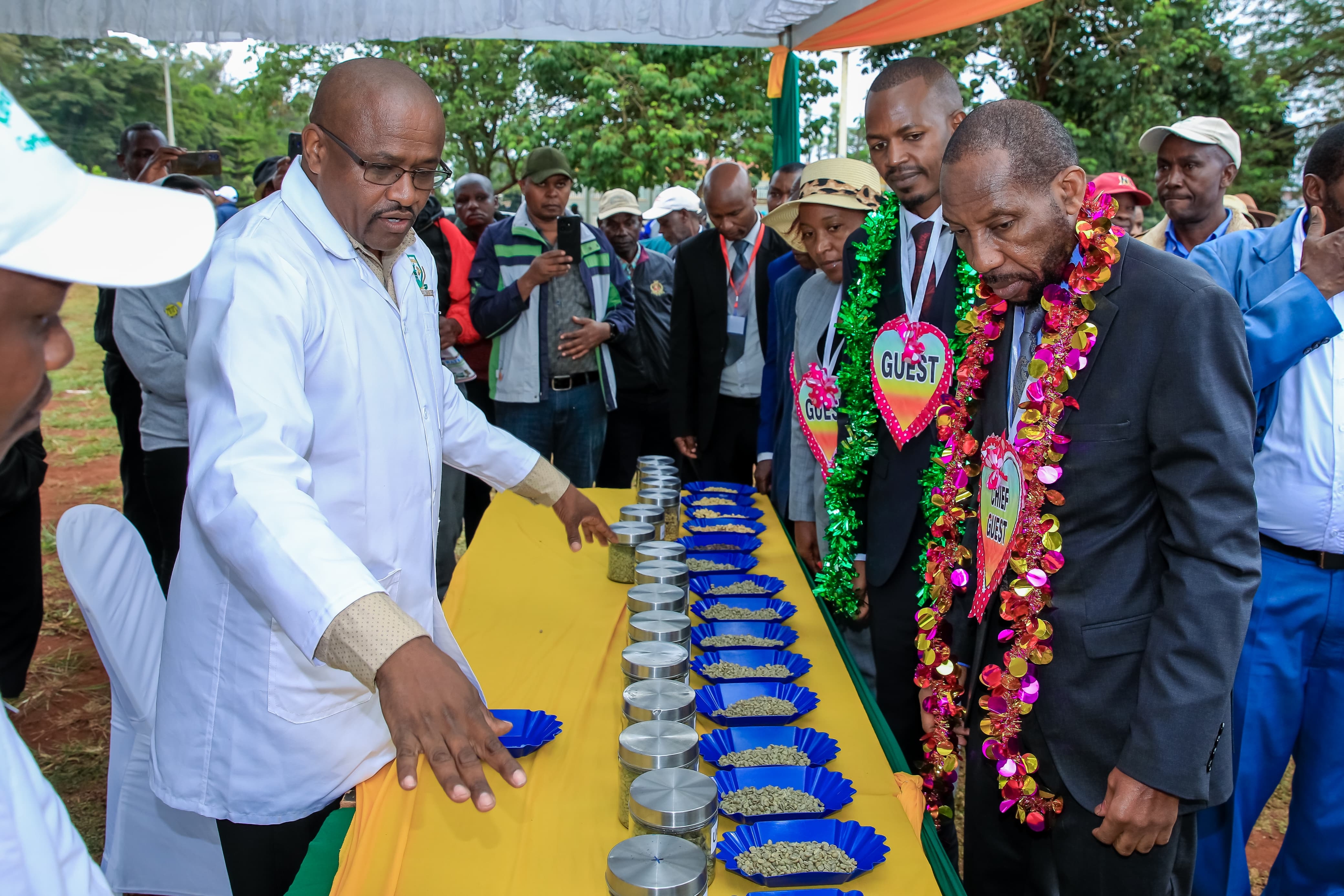 Engage farmers before implementing coffee reforms, State told