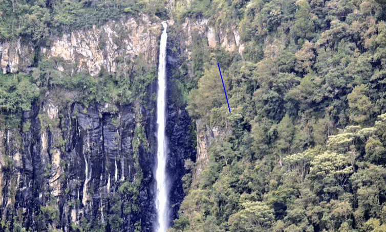 EXPLAINER:  Aberdare National Park: Kenya's hidden highland gem