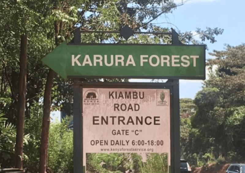 KFS clarifies video showing deforestation at Karura
