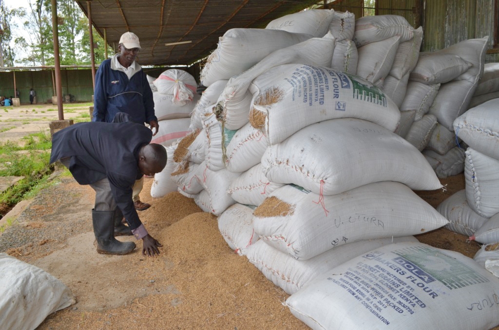 Rice farmers' cry, a court battle and state's resolve to import more