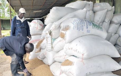 MWANGI: Prioritise rice farmers, not importers