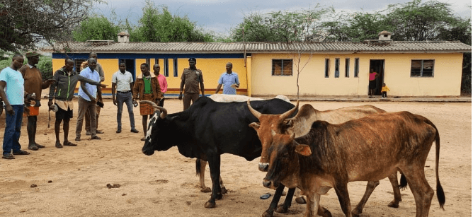 Turkana calls for local-based solutions to end banditry