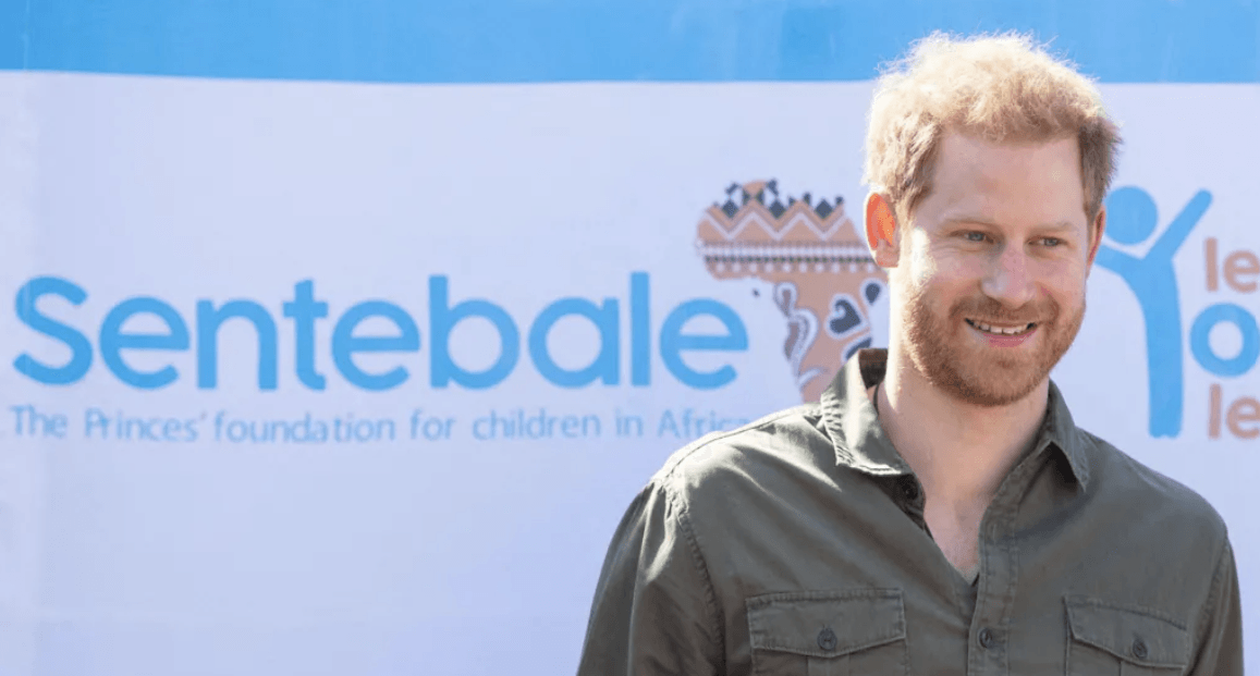 No bullying found in Prince Harry charity row