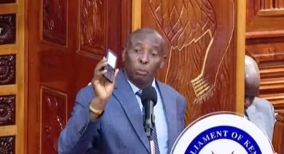 Laughter in Senate as MCA seeks to testify in vernacular