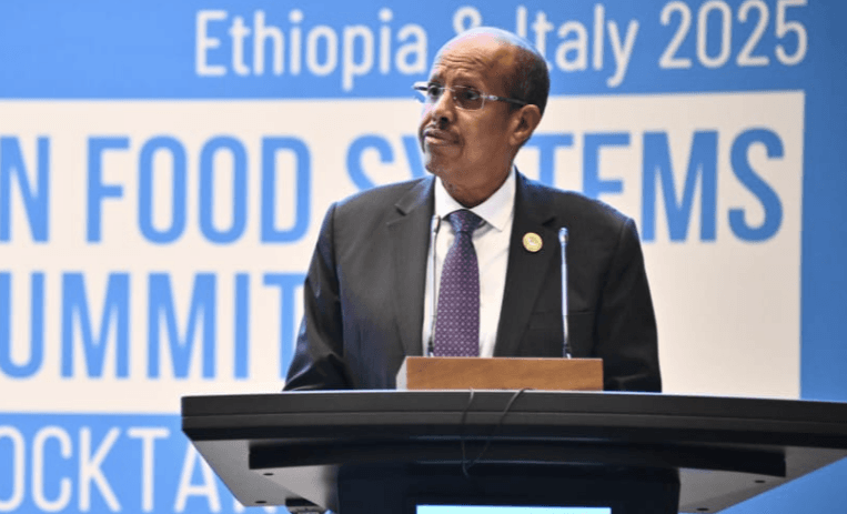 AUC chair mourns Ghanaian ministers after helicopter crash