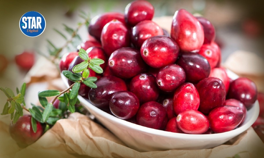 Health benefits of cranberries