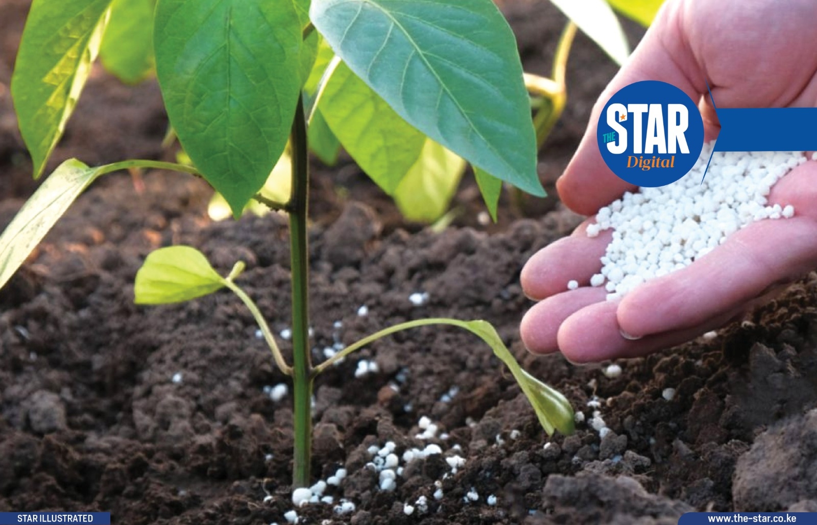 Key State Interventions Driving Agricultural Production