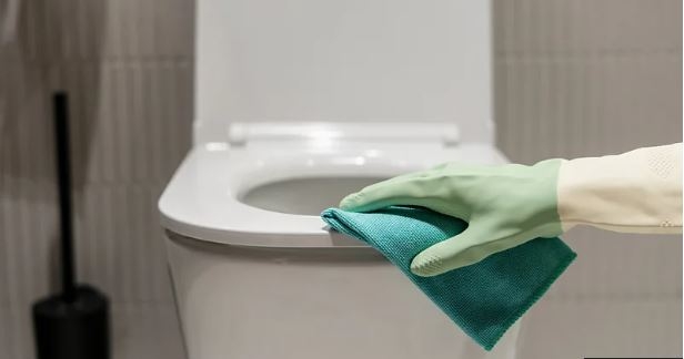 Can you catch diseases from toilet seats?