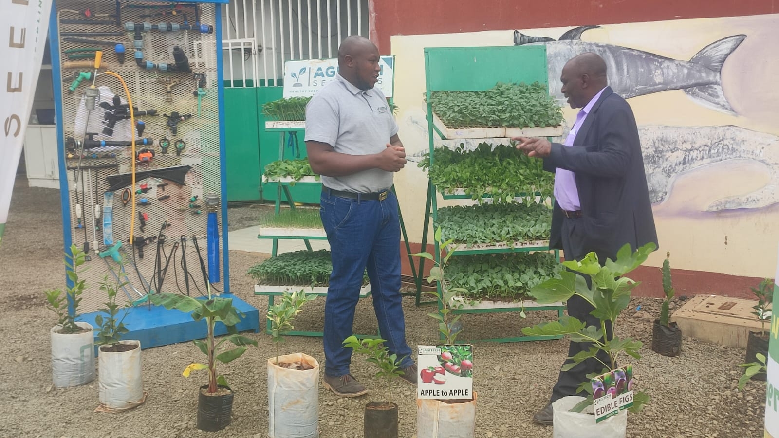 Youths urged to embrace agri-tech to benefit more from farming