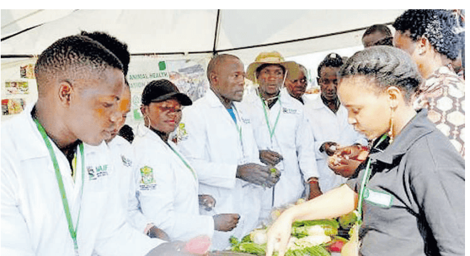 Youth-led cooperatives in Kenya, Uganda redefining agricultural extension
