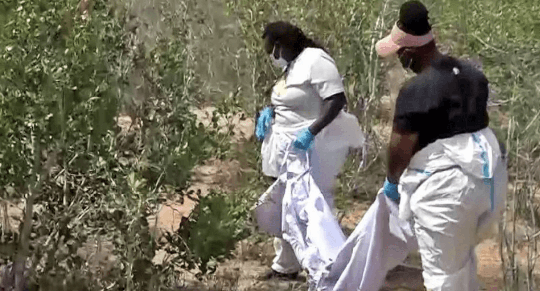 New bodies found near site of Kenya's starvation cult burials