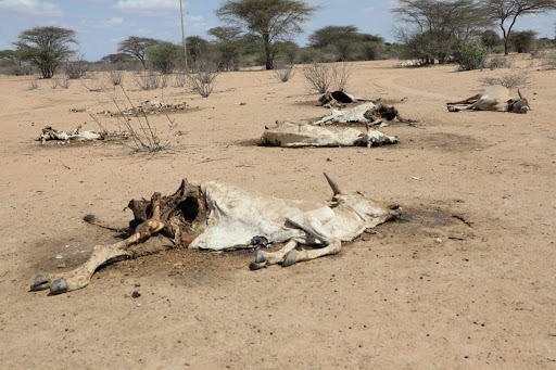 Scientists warn land is dying and only food revolution can save it