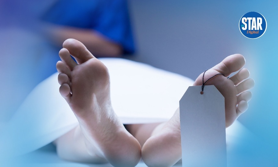 Death trends in Kenya: 2024 snapshot