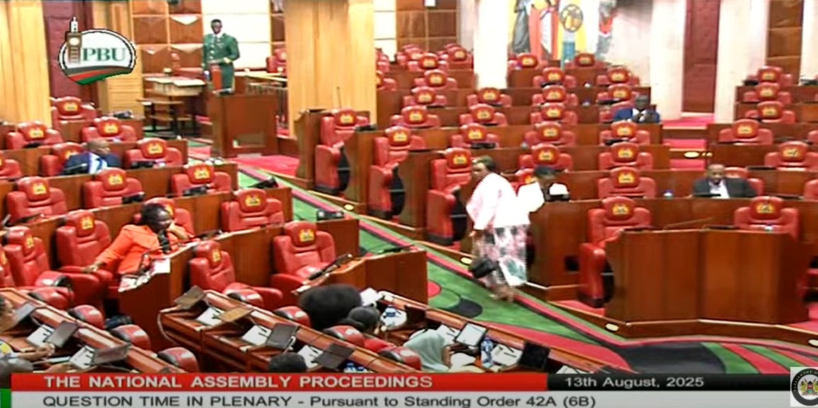 Why Wamuchomba is suspended from Parliament