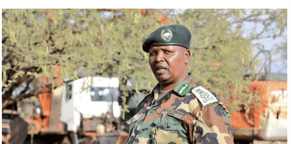 KFS: New e-Citizen payment system will not affect Karura Forest visits