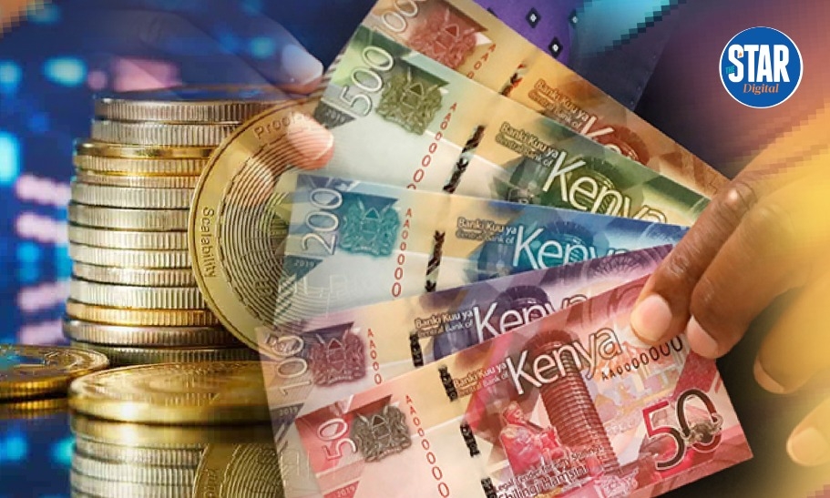 Hustler Fund: How a Sh10,000 loan is allocated