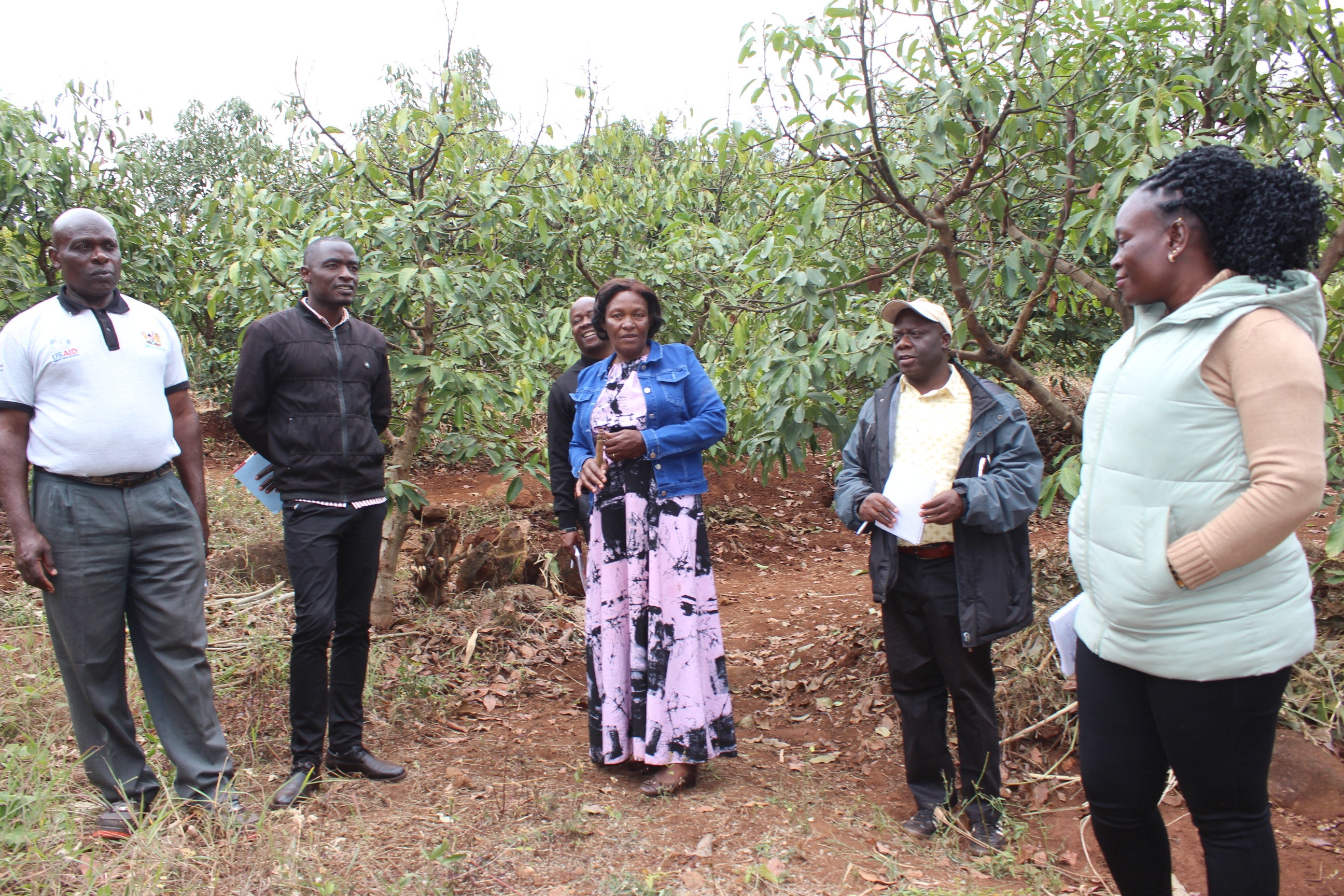 Trans Nzoia shifts to agroecology to boost harvest