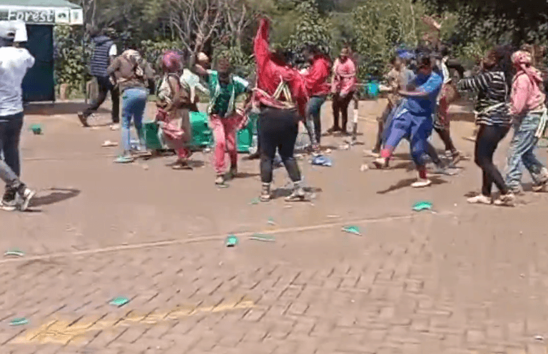Chaos as friends of Karura protest e-Citizen roll-out