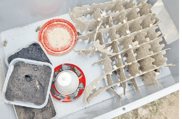 Kisumu farmer turns to crickets for nutrition, income