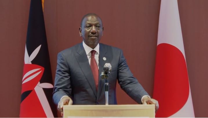 Ruto courts Japanese investors, hails Sh26bn boost to Kenya in 2024