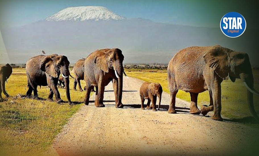 Know Kenya: Amboseli National Park