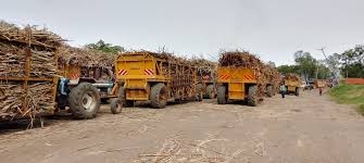 BARASA: State must deal decisively with sugar imports