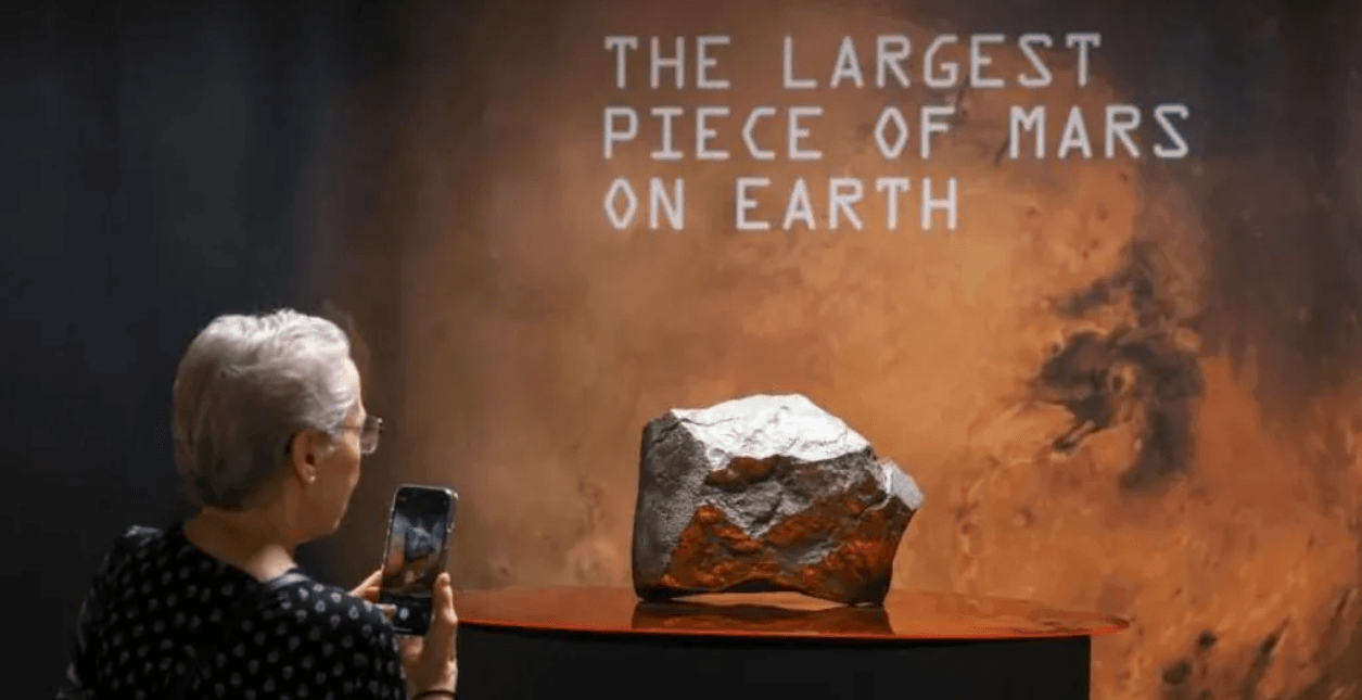 Mars rock found in Niger sells for millions in New York