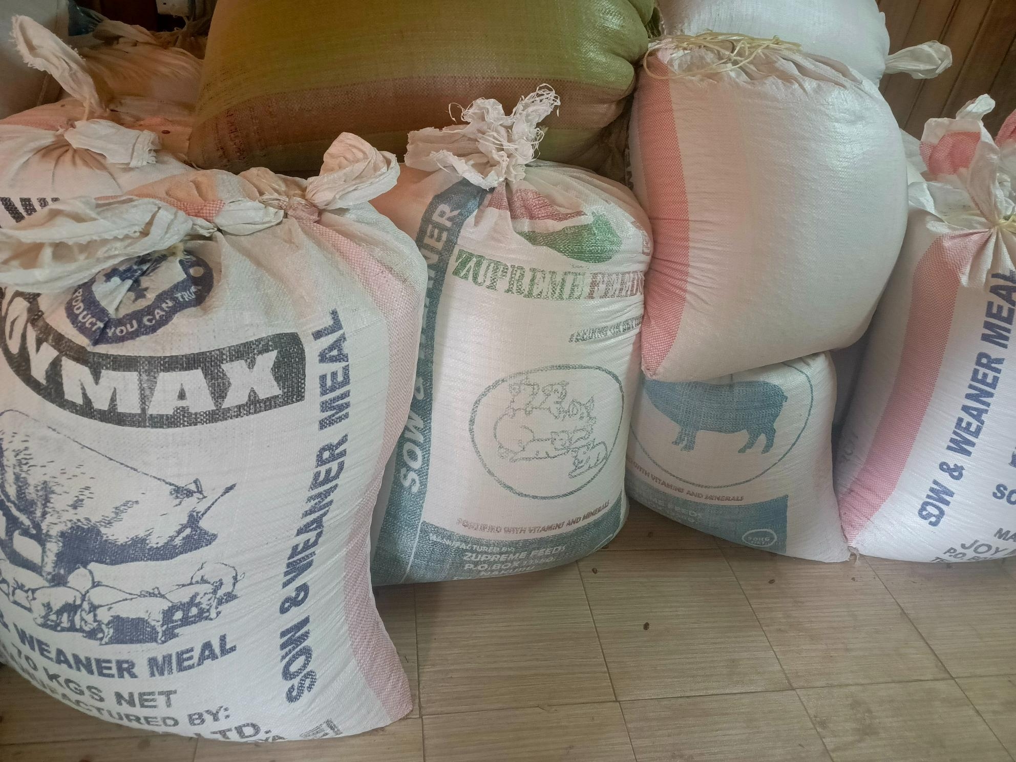 Narumoro farmers flourish, thanks to Nyota bean