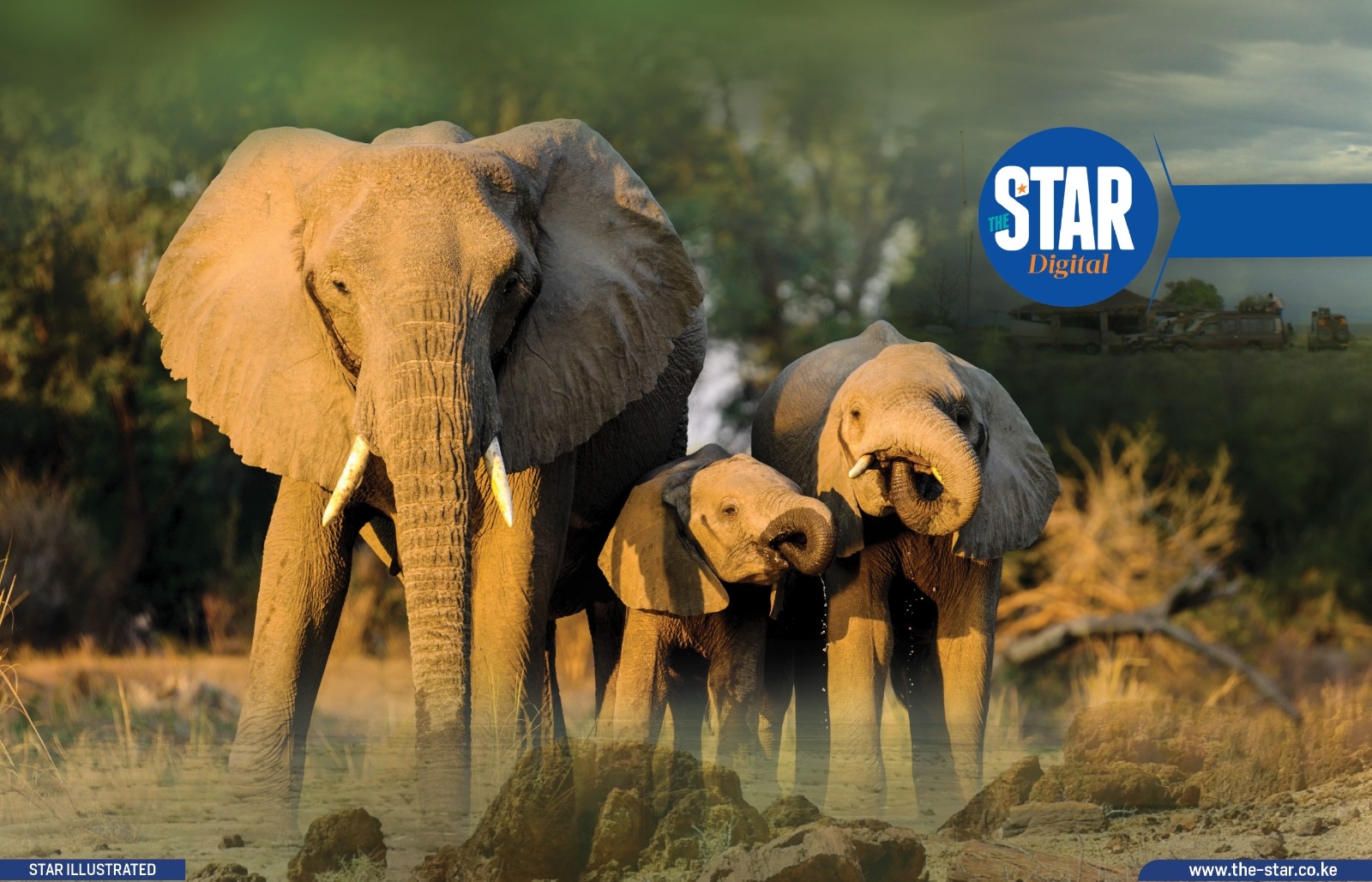 Know Kenya: Sibiloi National Park - The cradle of mankind