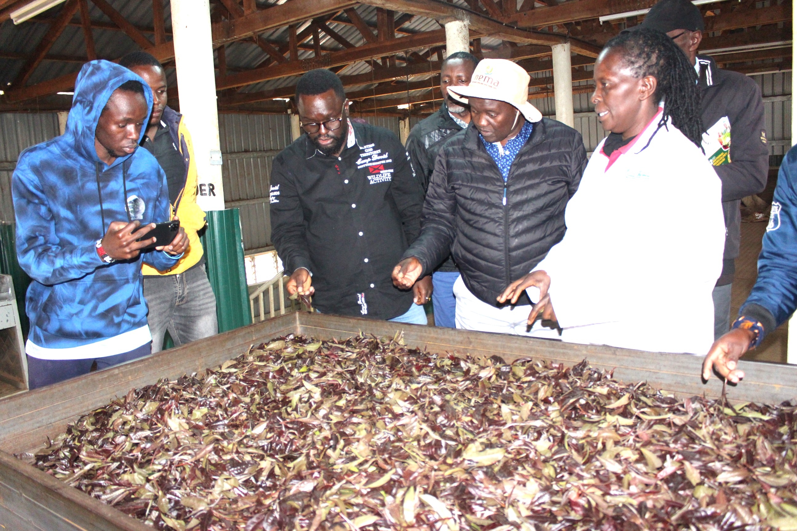 Kenya set to hold international tea Expo in October