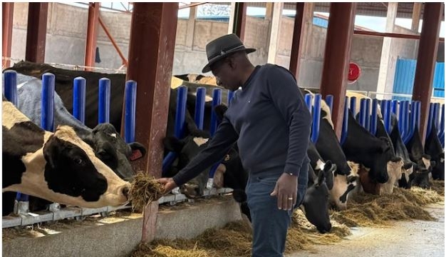 [PHOTOS] Ruto attends to dairy at his Koelel Farm